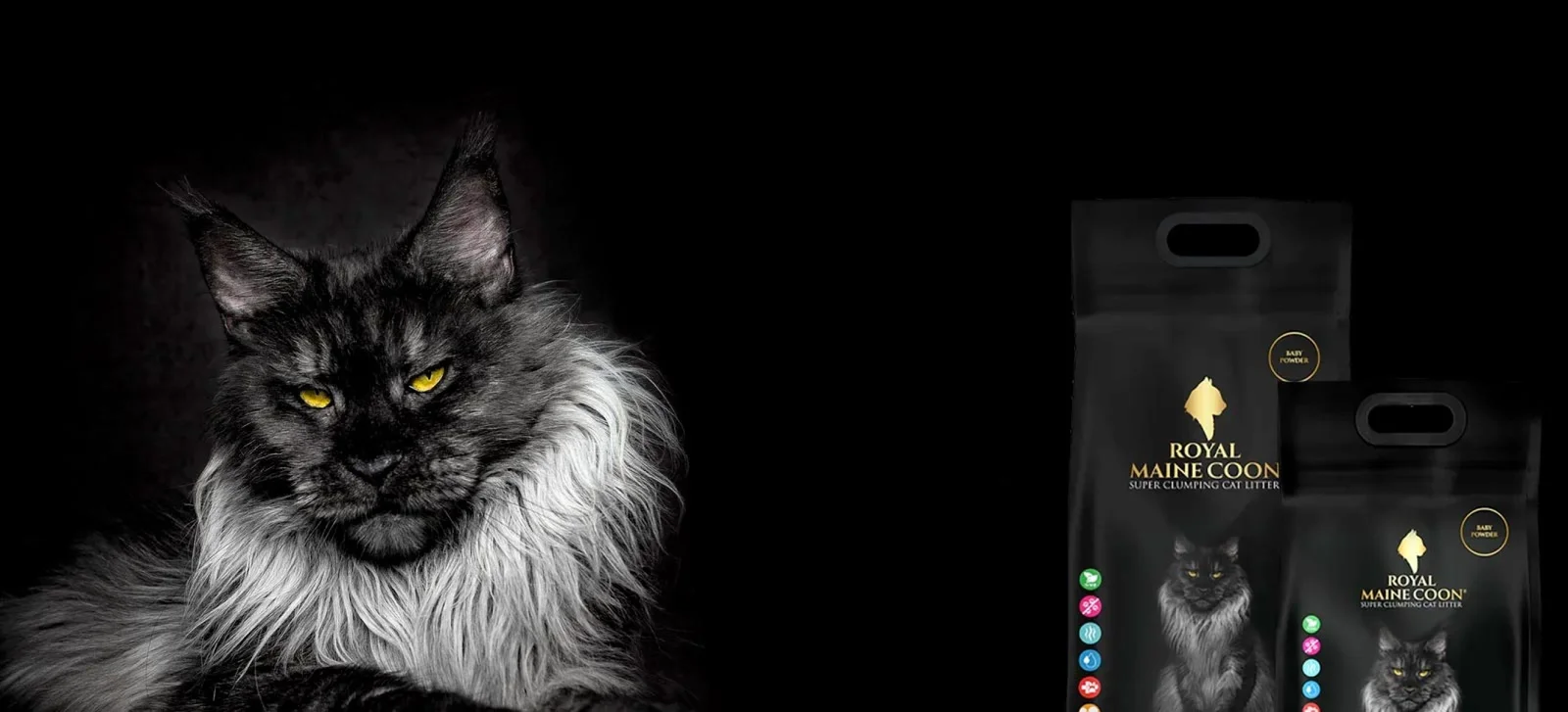 Nasıl kullanılır?